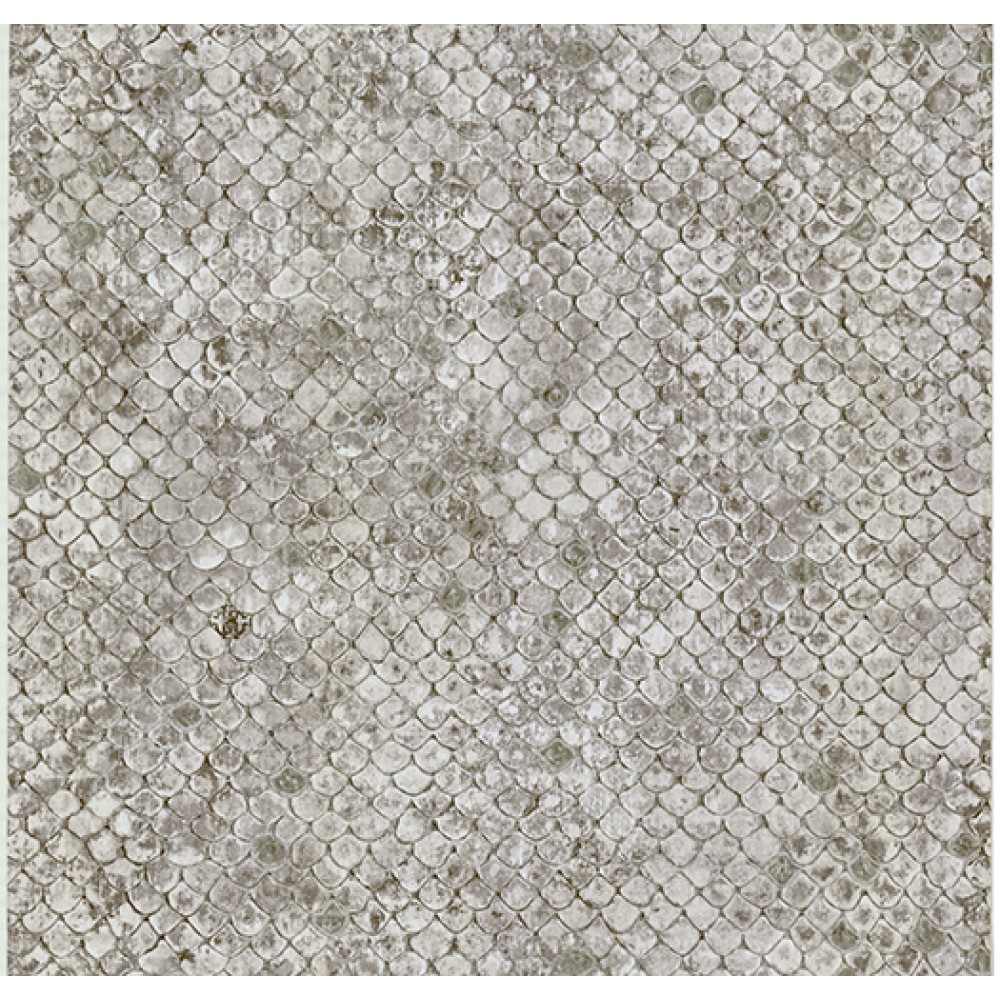 18008RC - Roberto Cavalli 7 Jungle Animals Beige Cream Grey White Wide  Wallpaper | eBay