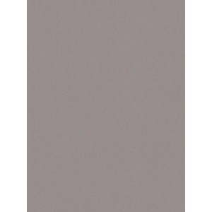 8591-12 AP 1000 Wallpaper, Decor: Magnetic